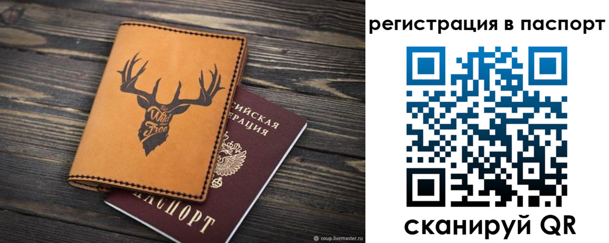 прописка паспорт в Стародубе